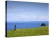 Honokaa, Hawaii - February 6, 2010: a Zen Moment Along the Hamakua Coast.-Ian Shive-Stretched Canvas