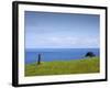 Honokaa, Hawaii - February 6, 2010: a Zen Moment Along the Hamakua Coast.-Ian Shive-Framed Photographic Print