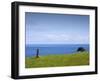 Honokaa, Hawaii - February 6, 2010: a Zen Moment Along the Hamakua Coast.-Ian Shive-Framed Photographic Print