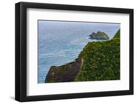 Honokane Nui Valley, Big Island, Hawaii-Mark A Johnson-Framed Photographic Print