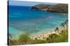 Honolulu, Hawaii, Oahu. Reef at Hanauma Bay coral from above snorkelers beach-Bill Bachmann-Stretched Canvas
