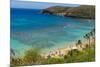 Honolulu, Hawaii, Oahu. Reef at Hanauma Bay coral from above snorkelers beach-Bill Bachmann-Mounted Premium Photographic Print