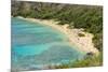 Honolulu, Hawaii, Oahu. Reef at Hanauma Bay coral from above snorkelers beach-Bill Bachmann-Mounted Photographic Print