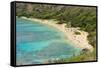 Honolulu, Hawaii, Oahu. Reef at Hanauma Bay coral from above snorkelers beach-Bill Bachmann-Framed Stretched Canvas