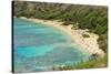 Honolulu, Hawaii, Oahu. Reef at Hanauma Bay coral from above snorkelers beach-Bill Bachmann-Stretched Canvas