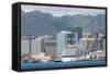 Honolulu, Hawaii, United States of America, Pacific-Michael DeFreitas-Framed Stretched Canvas