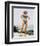 Honor Blackman-null-Framed Photo