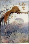 Squirrel in Tree C1917-Honor C. Appleton-Framed Art Print