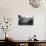 Honore de Balzac Home in Passy, Paris, France-null-Photographic Print displayed on a wall