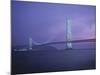 Honshu-Shikoku Bridge, Nr. Kobe, Japan-Demetrio Carrasco-Mounted Photographic Print