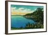 Hood Canal, Washington - Olympic National Park-Lantern Press-Framed Art Print