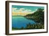 Hood Canal, Washington - Olympic National Park-Lantern Press-Framed Art Print