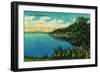 Hood Canal, Washington - Olympic National Park-Lantern Press-Framed Art Print