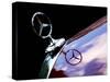 Hood Ornament 53 Mercedes 300-Clive Branson-Stretched Canvas