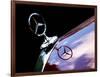 Hood Ornament 53 Mercedes 300-Clive Branson-Framed Photo