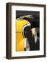 Hood ornament on classic street rod, Street Rod Nationals, Louisville, Kentucky-Adam Jones-Framed Photographic Print