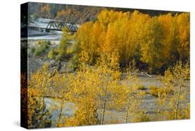 Hood River RR Bridge-Ike Leahy-Stretched Canvas