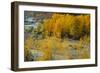 Hood River RR Bridge-Ike Leahy-Framed Photographic Print