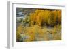 Hood River RR Bridge-Ike Leahy-Framed Photographic Print