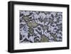 Hood River-Art Wolfe-Framed Photographic Print