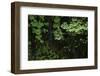 Hood River-Art Wolfe-Framed Photographic Print