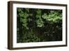 Hood River-Art Wolfe-Framed Photographic Print