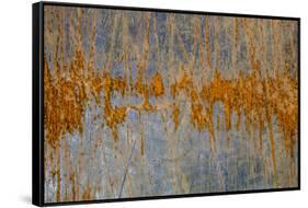 Hood River-Art Wolfe-Framed Stretched Canvas