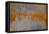 Hood River-Art Wolfe-Framed Stretched Canvas