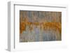 Hood River-Art Wolfe-Framed Photographic Print