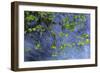 Hood River-Art Wolfe-Framed Photographic Print