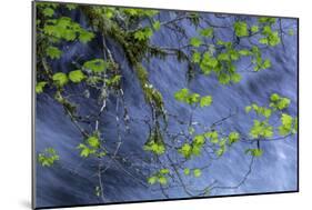 Hood River-Art Wolfe-Mounted Photographic Print