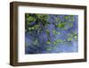 Hood River-Art Wolfe-Framed Photographic Print