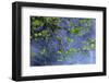 Hood River-Art Wolfe-Framed Photographic Print