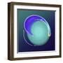 Hooded Circle I-Alan Hausenflock-Framed Art Print