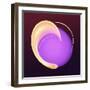 Hooded Circle II-Alan Hausenflock-Framed Art Print