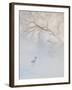 Hooded Crane Walks Through a Cold River under Hoarfrost-Covered Trees, Tsurui, Hokkaido, Japan-Josh Anon-Framed Photographic Print