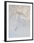 Hooded Crane Walks Through a Cold River under Hoarfrost-Covered Trees, Tsurui, Hokkaido, Japan-Josh Anon-Framed Photographic Print