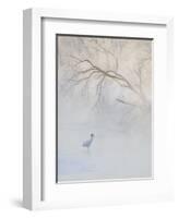 Hooded Crane Walks Through a Cold River under Hoarfrost-Covered Trees, Tsurui, Hokkaido, Japan-Josh Anon-Framed Photographic Print