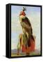 Hooded Falcon-Edwin Henry Landseer-Framed Stretched Canvas