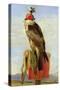 Hooded Falcon-Edwin Henry Landseer-Stretched Canvas