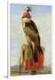 Hooded Falcon-Edwin Henry Landseer-Framed Giclee Print