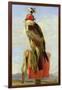 Hooded Falcon-Edwin Henry Landseer-Framed Giclee Print