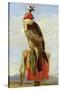 Hooded Falcon-Edwin Henry Landseer-Stretched Canvas