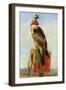 Hooded Falcon-Edwin Henry Landseer-Framed Giclee Print