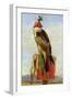 Hooded Falcon-Edwin Henry Landseer-Framed Giclee Print