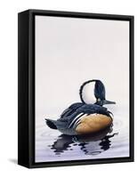 Hooded Merganser-Harro Maass-Framed Stretched Canvas