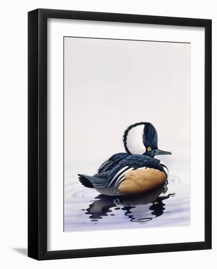 Hooded Merganser-Harro Maass-Framed Giclee Print