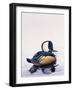 Hooded Merganser-Harro Maass-Framed Giclee Print