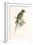 Hooded Parakeet-Edward Lear-Framed Art Print