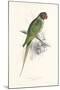 Hooded Parakeet-Edward Lear-Mounted Giclee Print